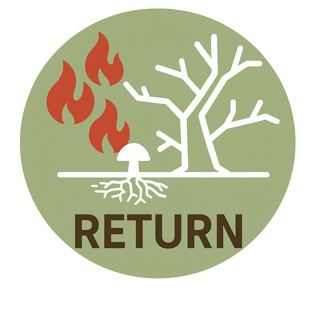 RETURN-LOGO
